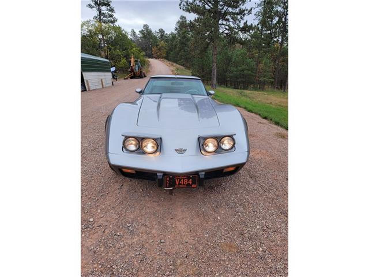 Chevrolet-Corvette-1978-Two-Tone-Oyster-7