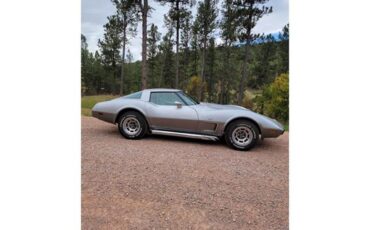 Chevrolet-Corvette-1978-Two-Tone-Oyster-8