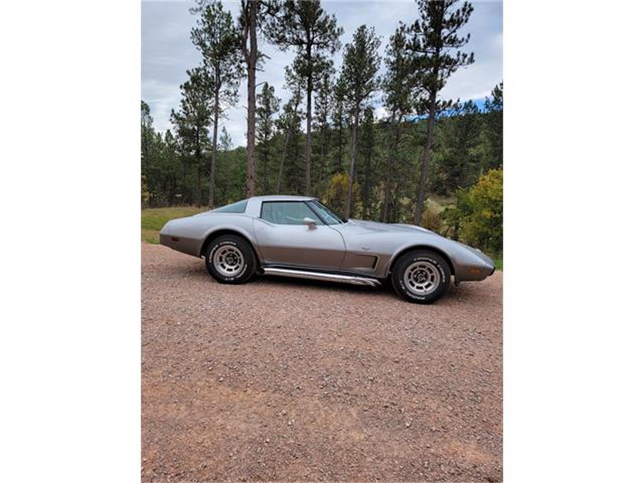 Chevrolet-Corvette-1978-Two-Tone-Oyster-8