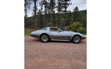 Chevrolet-Corvette-1978-Two-Tone-Oyster-9