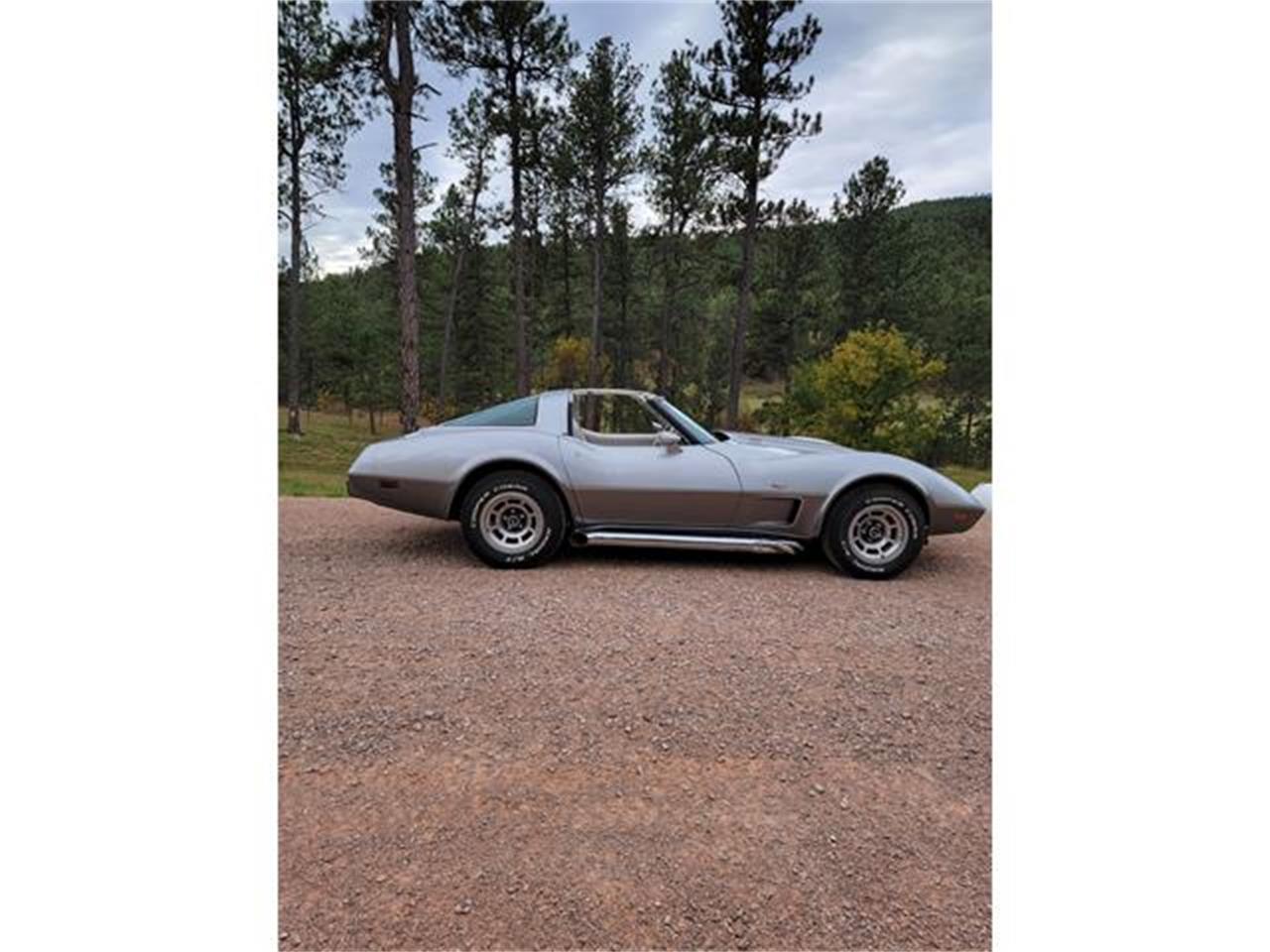 Chevrolet-Corvette-1978-Two-Tone-Oyster-9