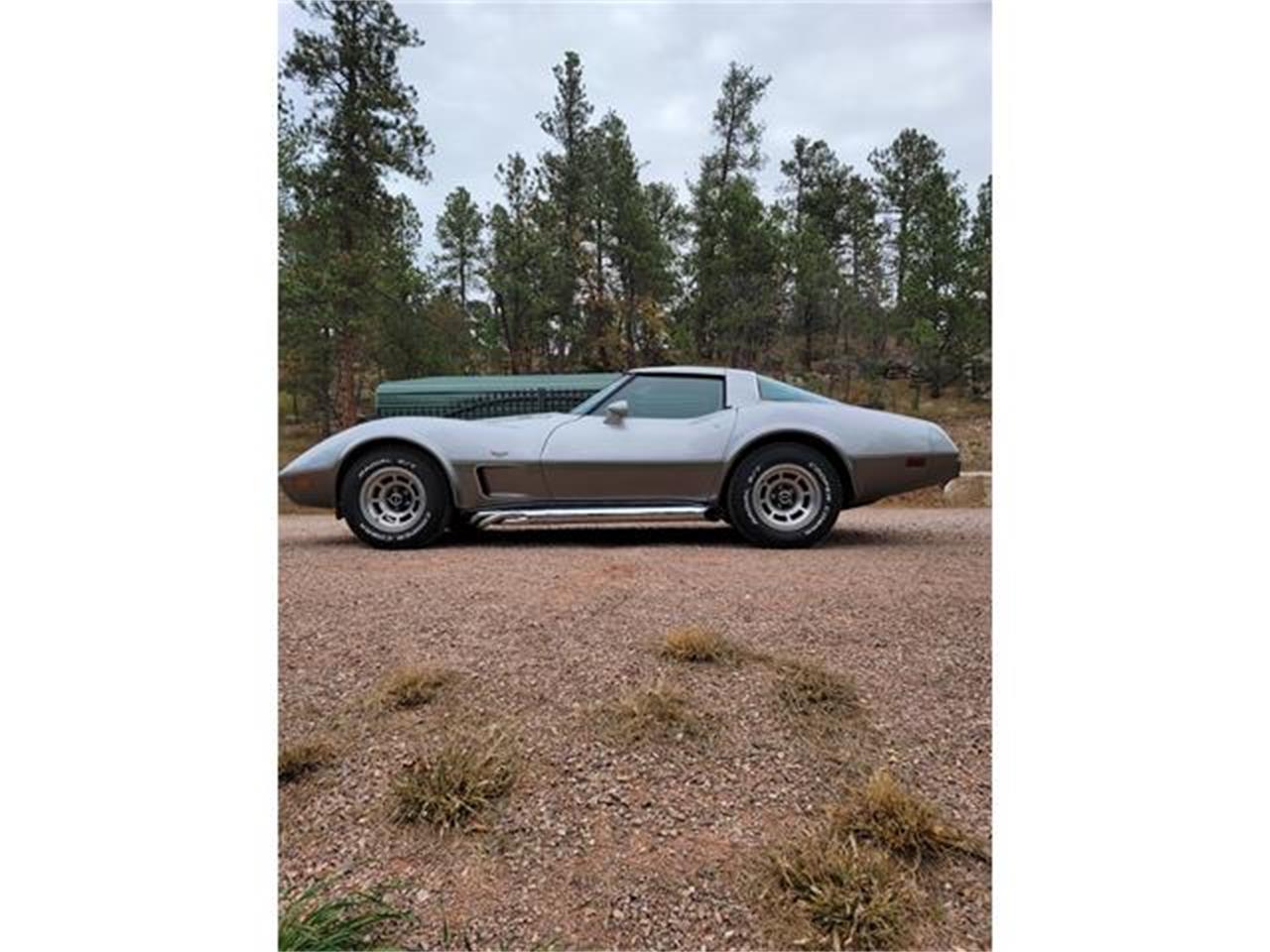 Chevrolet-Corvette-1978-Two-Tone-Oyster