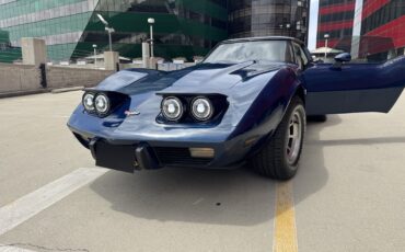 Chevrolet-Corvette-1979-Coupe-10