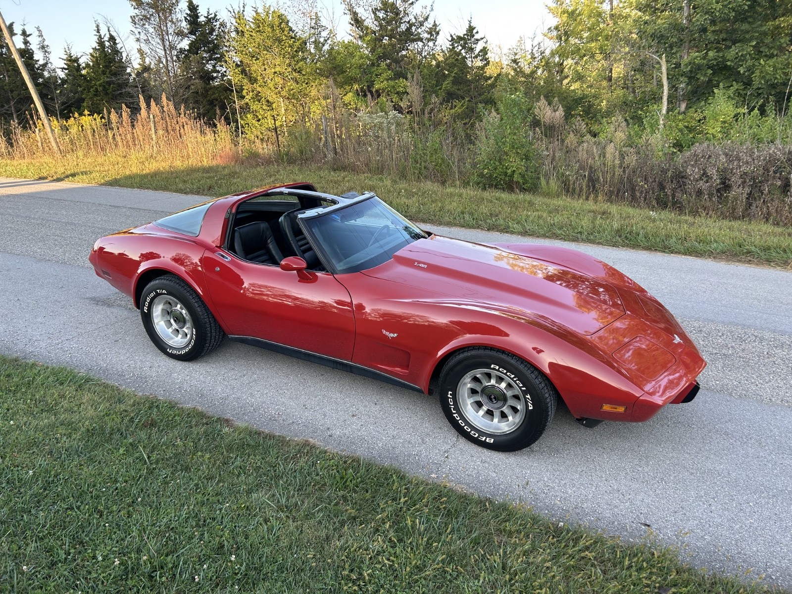 Chevrolet Corvette 1979 Coupe
