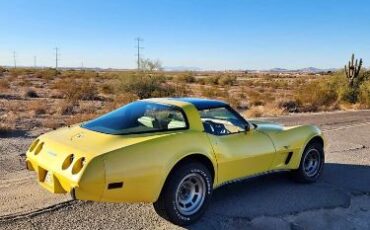 Chevrolet-Corvette-1979-Yellow-Tan-10