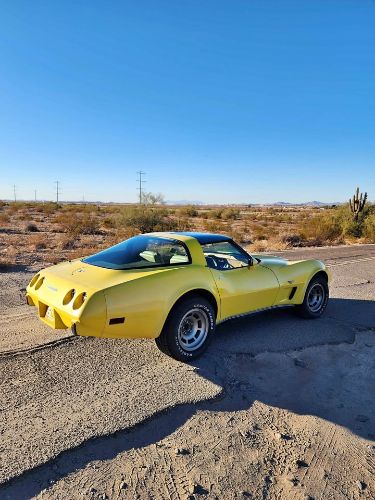 Chevrolet-Corvette-1979-Yellow-Tan-10