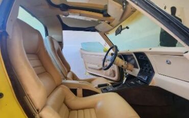 Chevrolet-Corvette-1979-Yellow-Tan-4