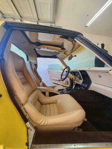 Chevrolet-Corvette-1979-Yellow-Tan-4