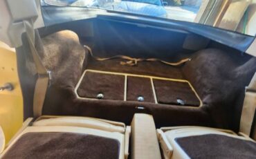 Chevrolet-Corvette-1979-Yellow-Tan-5