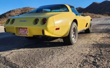 Chevrolet-Corvette-1979-Yellow-Tan-8