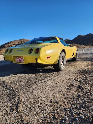 Chevrolet-Corvette-1979-Yellow-Tan-8