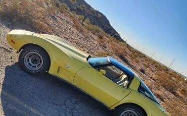 Chevrolet-Corvette-1979-Yellow-Tan-9