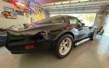 Chevrolet-Corvette-1980-Coupe-10