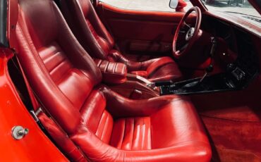Chevrolet-Corvette-1980-Coupe-18