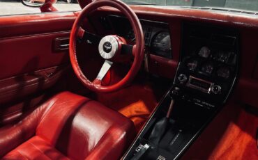Chevrolet-Corvette-1980-Coupe-19