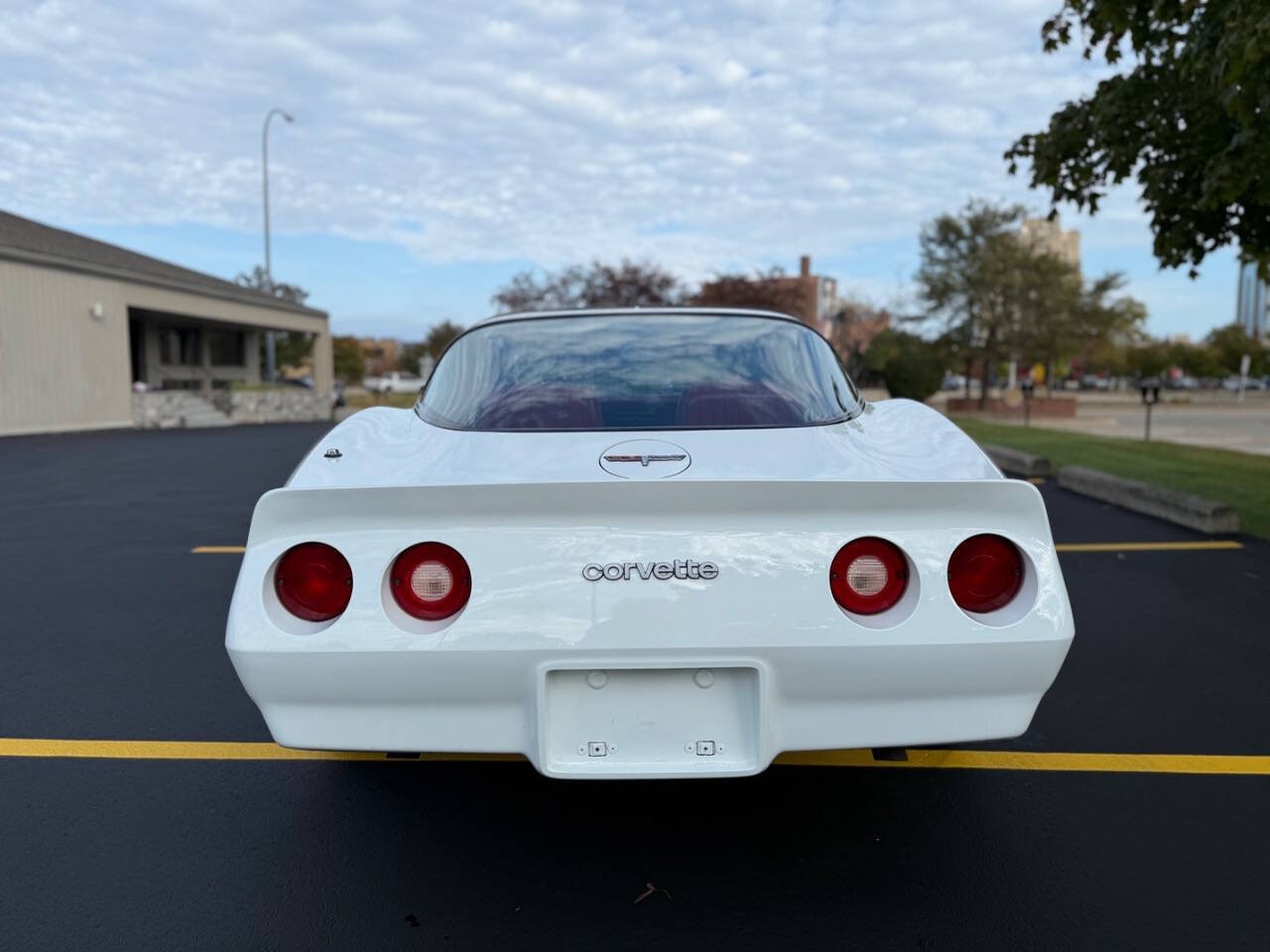 Chevrolet-Corvette-1980-Coupe-6