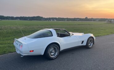 Chevrolet Corvette 1981