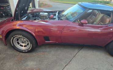 Chevrolet-Corvette-1981-Fastback-1
