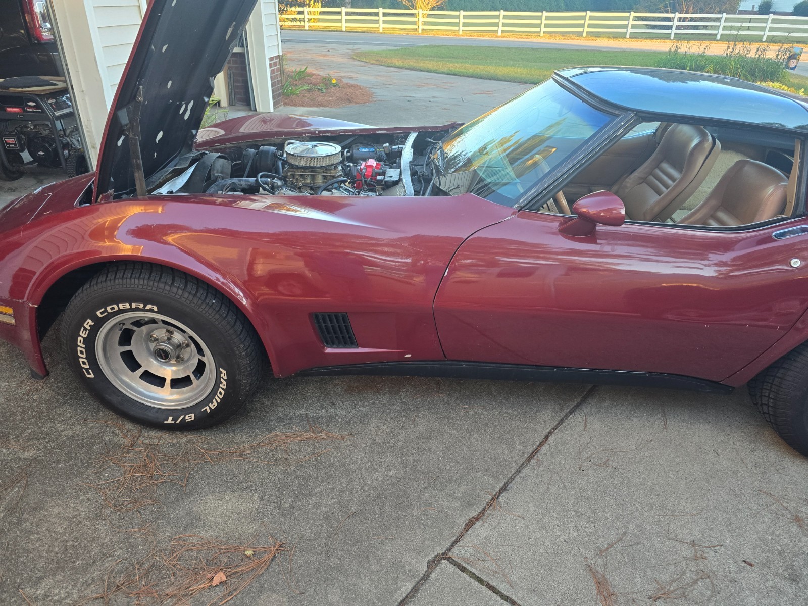 Chevrolet-Corvette-1981-Fastback-1