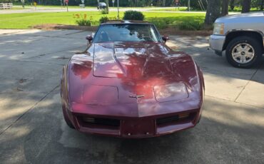 Chevrolet-Corvette-1981-Fastback-11