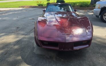 Chevrolet-Corvette-1981-Fastback-12
