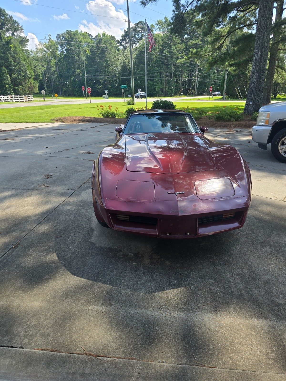Chevrolet-Corvette-1981-Fastback-12
