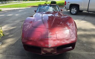 Chevrolet-Corvette-1981-Fastback-13