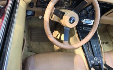 Chevrolet-Corvette-1981-Fastback-16