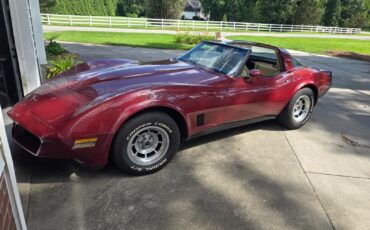 Chevrolet-Corvette-1981-Fastback-17