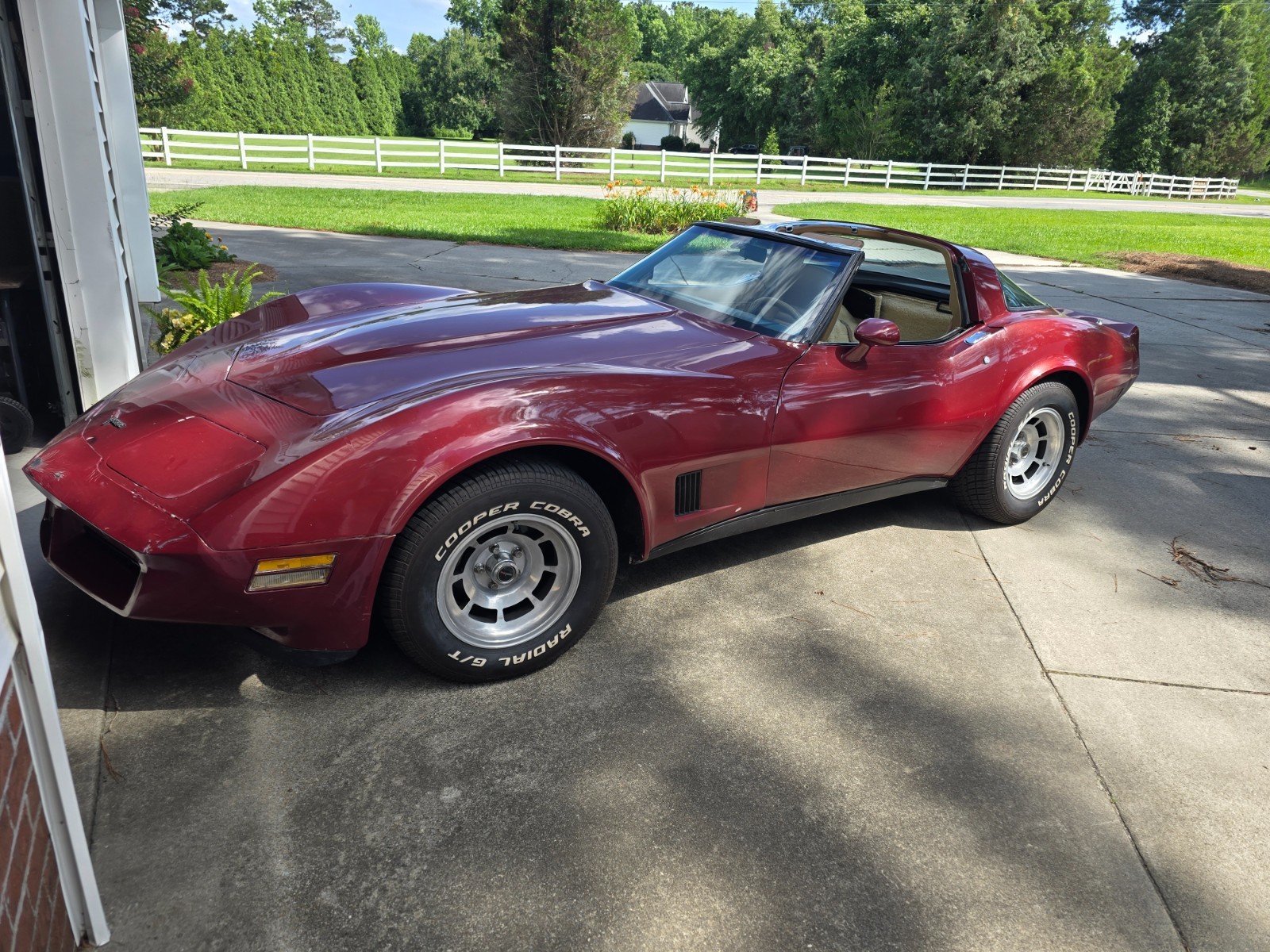 Chevrolet-Corvette-1981-Fastback-17