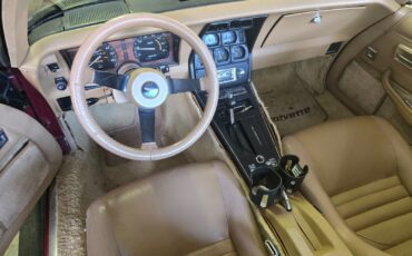 Chevrolet-Corvette-1981-Fastback-3