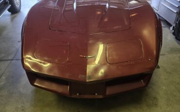 Chevrolet-Corvette-1981-Fastback-6