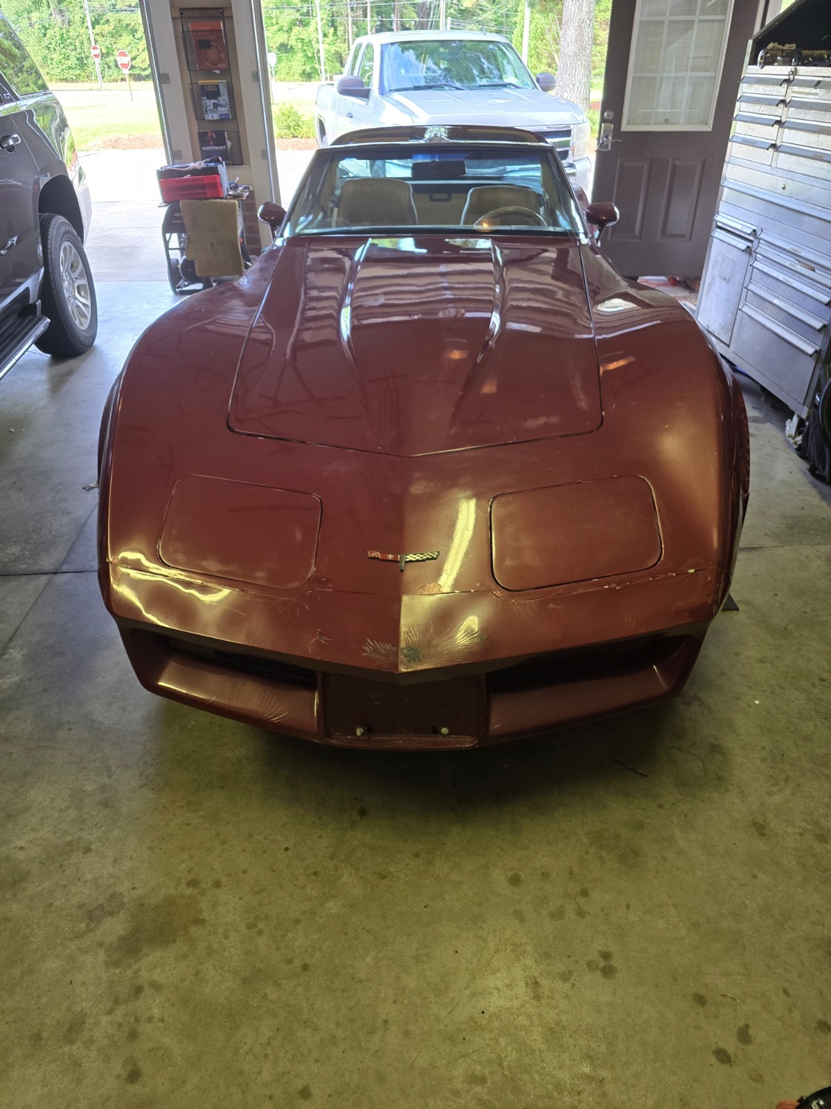 Chevrolet-Corvette-1981-Fastback-6
