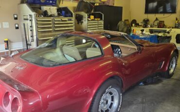 Chevrolet-Corvette-1981-Fastback-7