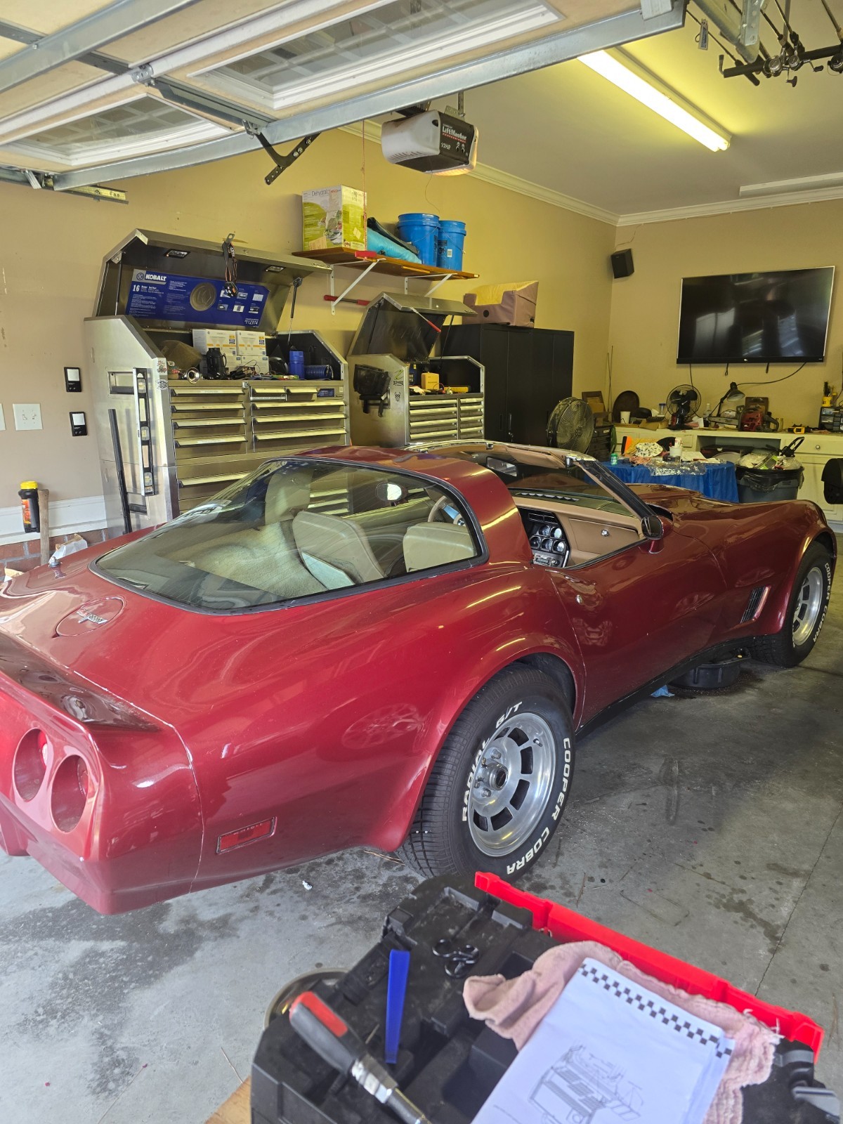 Chevrolet-Corvette-1981-Fastback-7