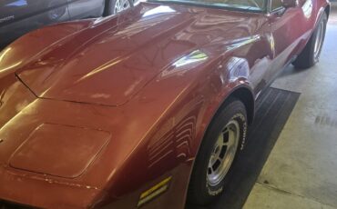 Chevrolet-Corvette-1981-Fastback-8