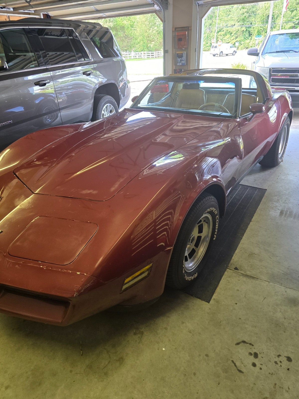 Chevrolet-Corvette-1981-Fastback-8