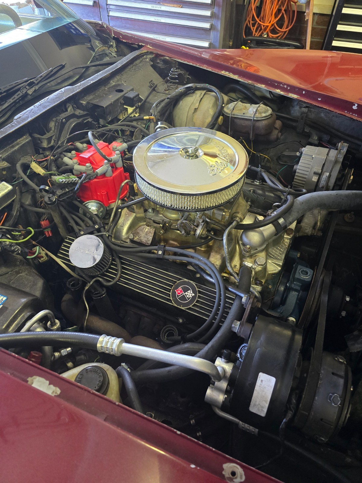 Chevrolet-Corvette-1981-Fastback-9