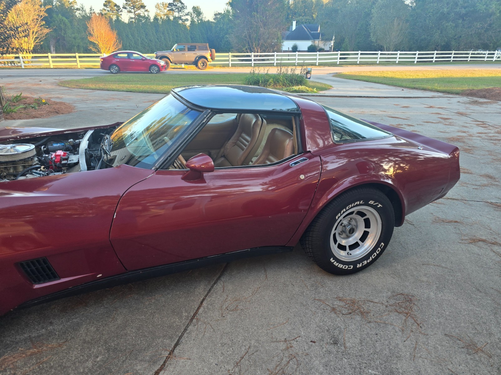 Chevrolet Corvette 1981 Fastback