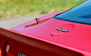Chevrolet-Corvette-1981-Red-Red-12