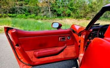 Chevrolet-Corvette-1981-Red-Red-30