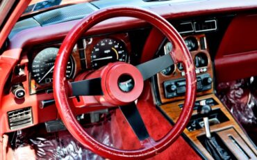 Chevrolet-Corvette-1981-Red-Red-44