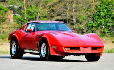 Chevrolet-Corvette-1981-Red-Red-8