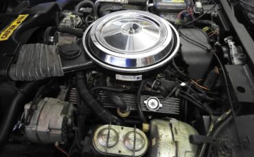 Chevrolet-Corvette-1981-Two-Tone-Silver-Charcol-11