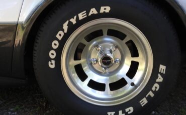 Chevrolet-Corvette-1981-Two-Tone-Silver-Charcol-14