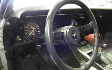 Chevrolet-Corvette-1981-Two-Tone-Silver-Charcol-15