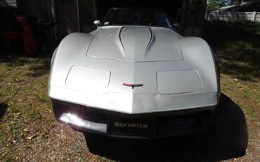 Chevrolet-Corvette-1981-Two-Tone-Silver-Charcol-16