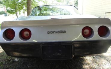 Chevrolet-Corvette-1981-Two-Tone-Silver-Charcol-2