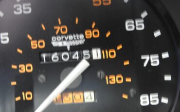 Chevrolet-Corvette-1981-Two-Tone-Silver-Charcol-3