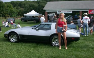 Chevrolet-Corvette-1981-Two-Tone-Silver-Charcol-8